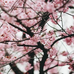 Yiruma - River Flows In You