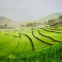 วันนี้ดีจังเลย