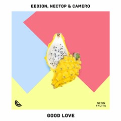 eedion, Nectop & Camero - Good Love