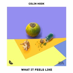 Colin Hook - What It Feels Like