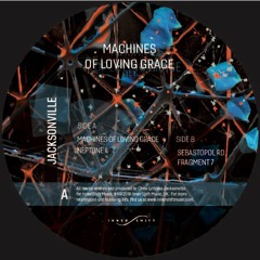 ISM - 011 Jacksonville Machines Of Loving Grace EP Preview