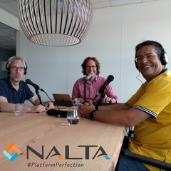 Nalta Podcast 12 - Platformperfection (Dutch)