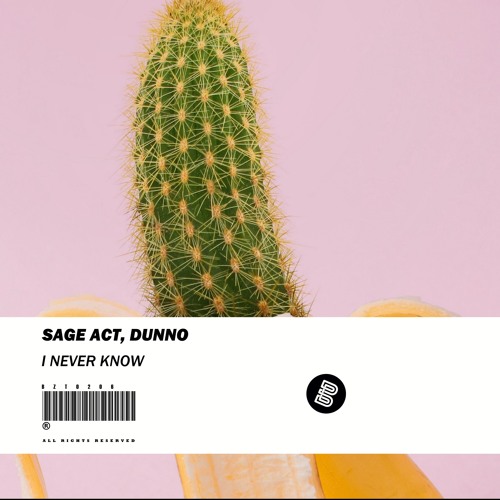 Sage Act & Dunno - I Never Know