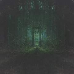 Shuniata - From the Woods - Forest Trip Records