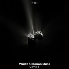 TH224_Wurtz & Iberian Muse_73 (Original Mix)