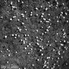 The Time Has Come Again (The Last Shadow Puppets)