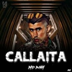 Bad Bunny - Callaita (Moombahton Remix)