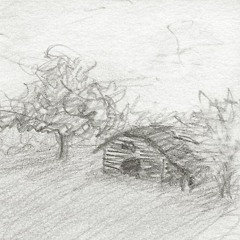 Little Lamb Dragonfly