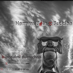 Buddha Beszédei-Hamvas Béla :: !rodalmi DubTechno