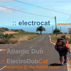 Atlantic Dub (a.k.a. Pálmester) @ electrocat - Tilos radio 06.08.2018.