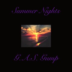 Summer Nights (Original Mix) - Single