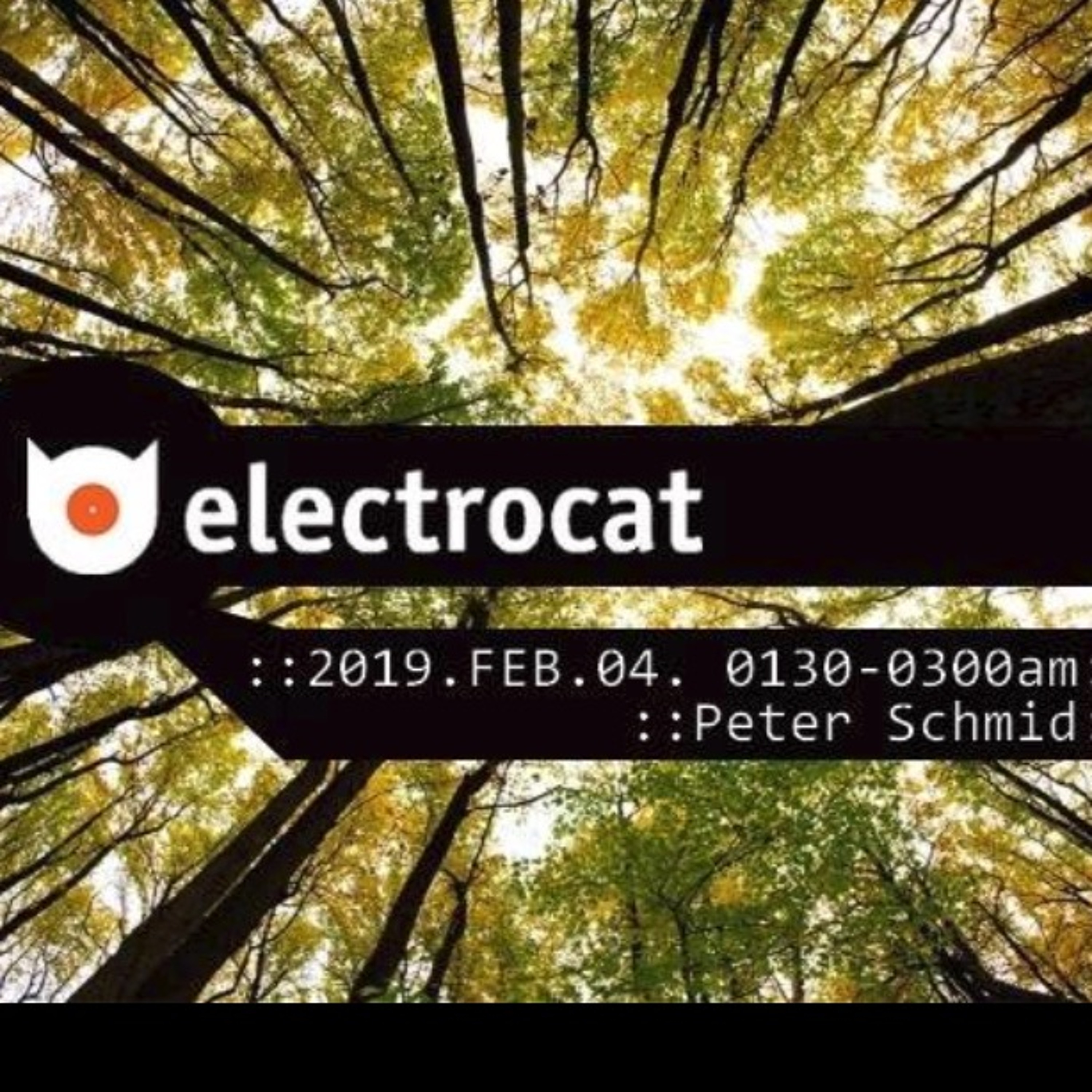 Electrocat - Tilos Radio