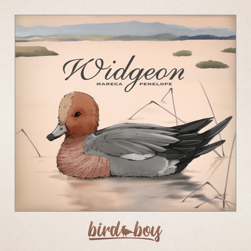 Bird Boy ~ Widgeon