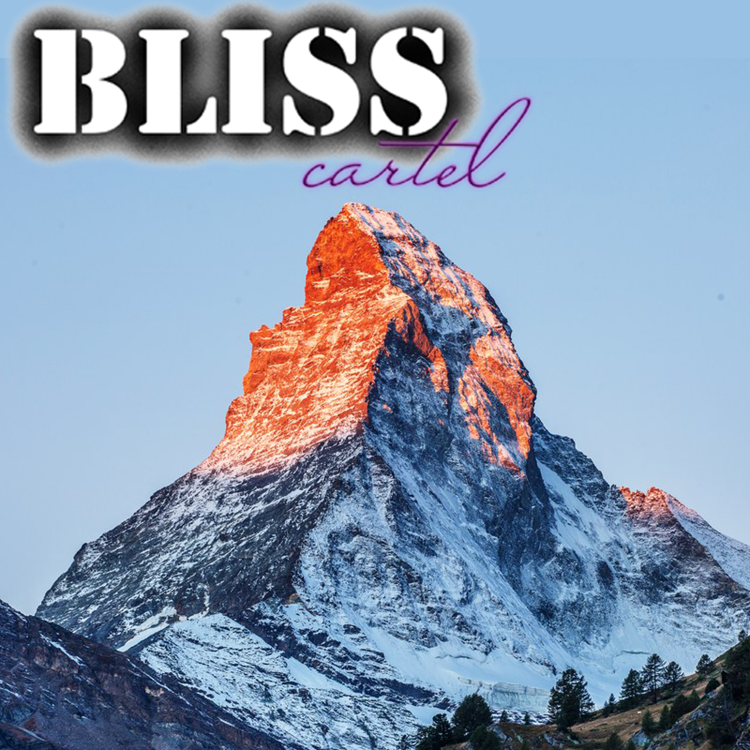 Bliss Cartel