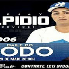 BAILE DO RODO PARTE 6 DJ ELPIDIO [ BAILE DA COLINA