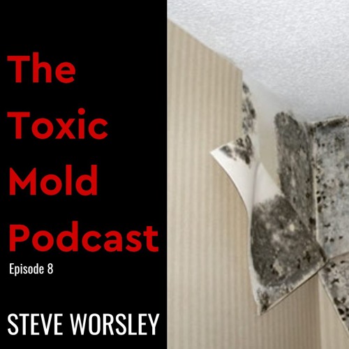 EP 8: The Hidden Dangers of Mold You Can't See