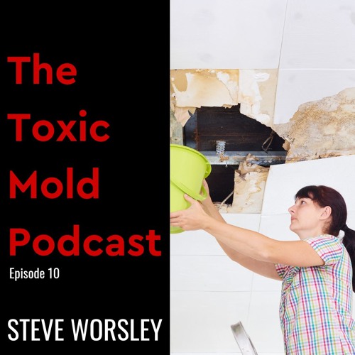 EP 10: Who Do I Hire for Mold Mitigation?