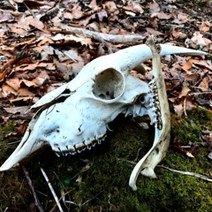 The was a HoLe here, It's gone now