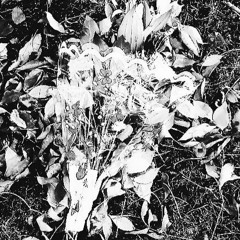 BuryMeAliveIWillNeverDie