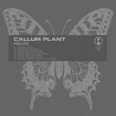 Callum Plant - Prelude - Steve Ward Manipulation