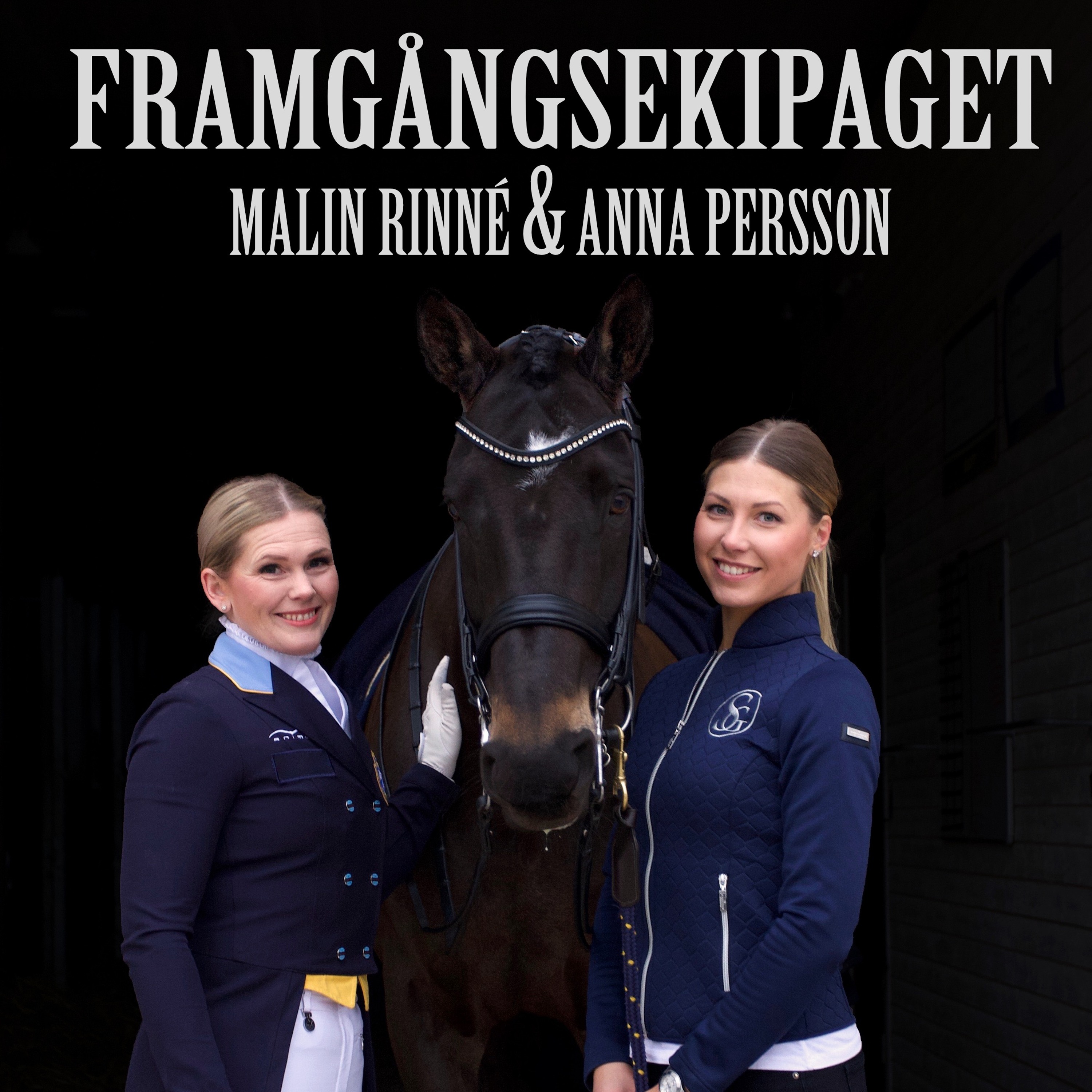Sjukdomar och skador