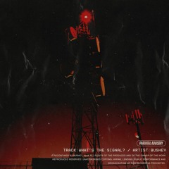 What's the Signal? (Prod. josh grant)