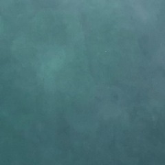 Entry 5 (Instrumental)