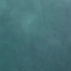 Entry 6 (Instrumental)