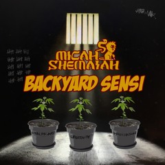 Micah Shemaiah - BackYard Sensi [Evidence Music]