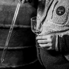 Trajectoire #3 - Fanfan Ganevat- Cultiver la gourmandise