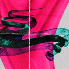 Cobra Club Album Teaser