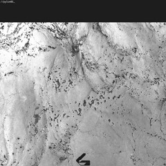 //pylon_demo_002 [enesai]