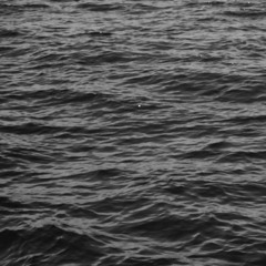 ｎｏｔｈｉｎｇ