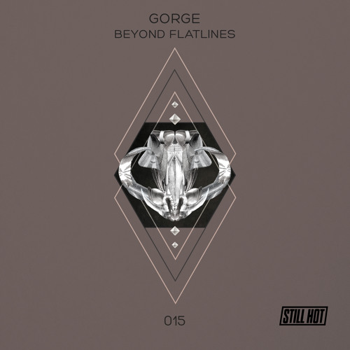 Gorge - Beyond Flatlines (Der Dritte Raum Remix)