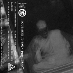 t_error 404 - Buddha Noise Machine[DMS032 I Premiere]