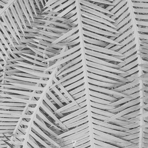 Pablo Bolivar & Noah Pred - Forward Gradient