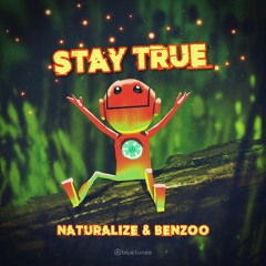 Naturalize & Benzoo - Just Don´t (Preview) OUT NOW @ BlueTunes Rec