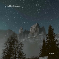 a night in the dark (demo)