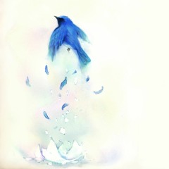 Kara No Shoujo - Crescent