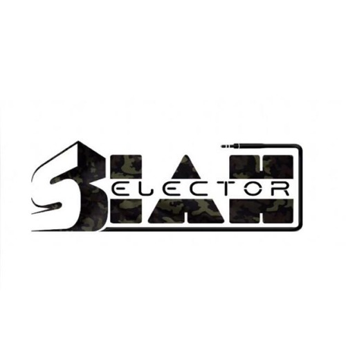Zelle Heaven (Radio Edit) (Selector Siah)