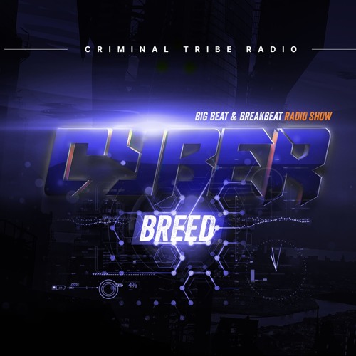 maphskiy - Cyberbreed 06 (24.06.19) [no voice]