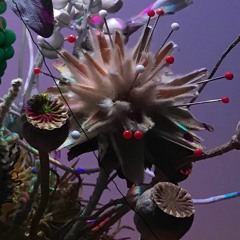 虚空 C-side ( The void , or Dance for Hunting )