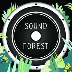 Sound Forest Question 2.