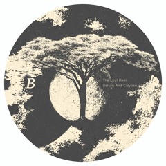 B1 - Aura Safari - The Lost Reel