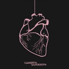 Play With My Heart(Cameron Sanderson)