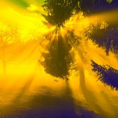 Mikon "Sublime" *On Airbit*