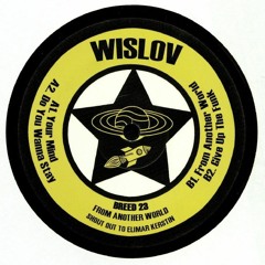 Wislov - From Another World EP BREED23 12" Vinyl