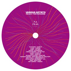V.A. 3 - Reach the Paradise out 01/07/2019