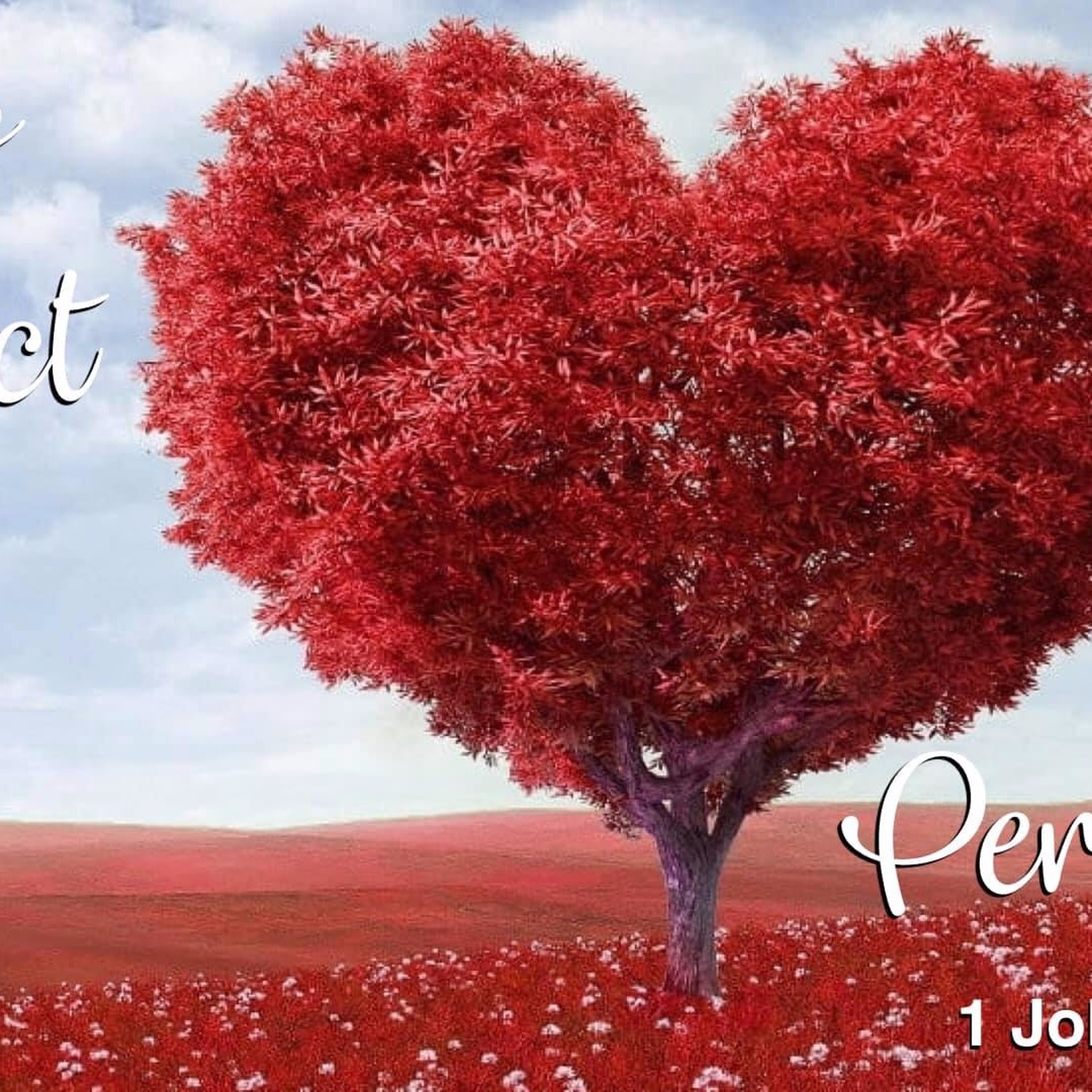 God's Perfect Love Perfected In Us - 1 John 4:14 - 22 - Steve Shipley episode artwork