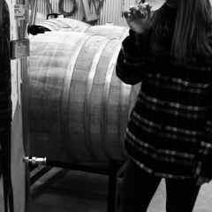 Kelsey Rufiange-Episode 28 | Echo Bay Vineyard | Wine Talk